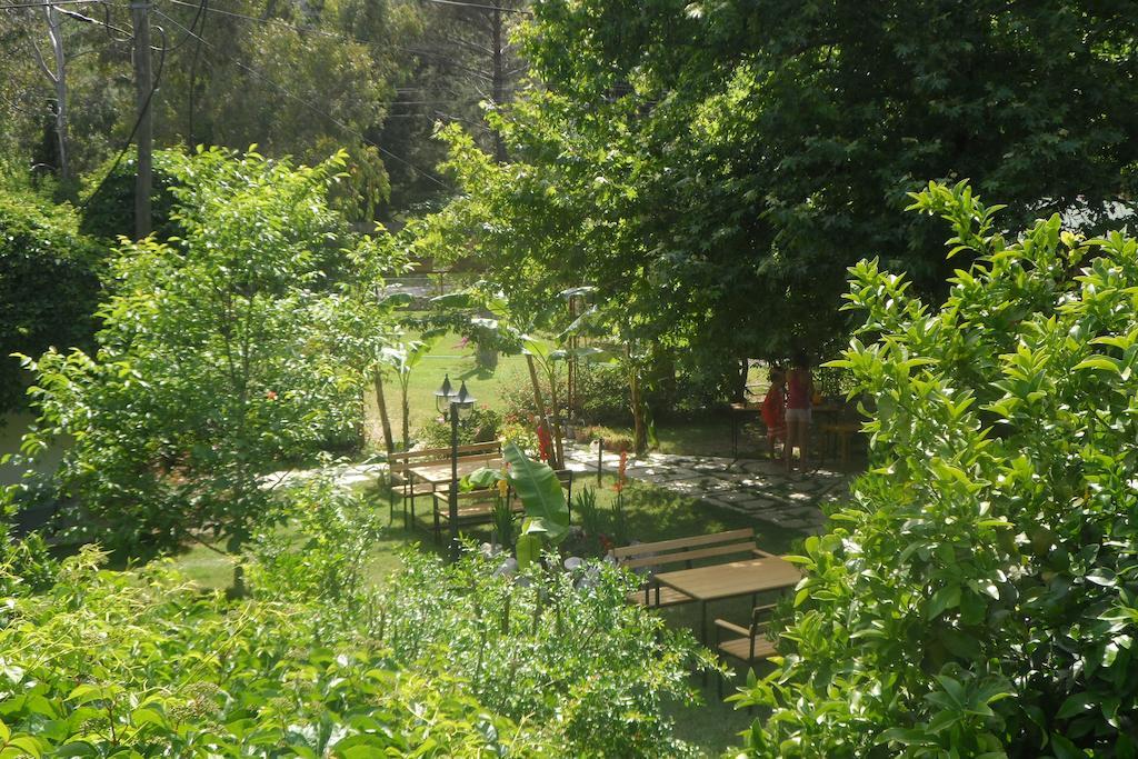 Arya Holiday Houses Чирали Екстер'єр фото