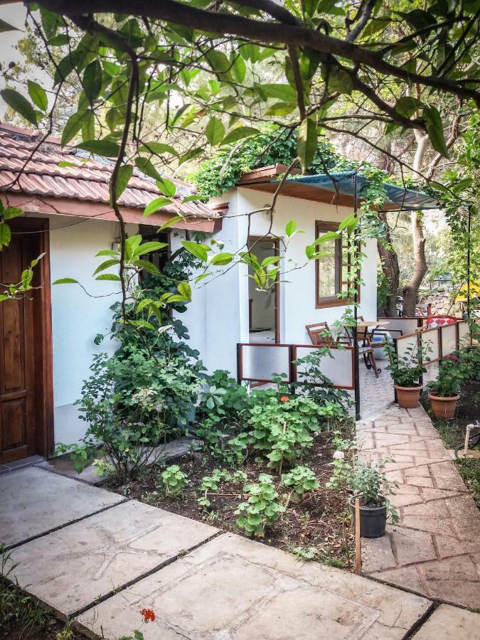 Arya Holiday Houses Чирали Екстер'єр фото